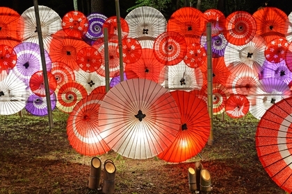 月あかり花回廊 鬼怒川温泉あさやホテル 公式 月あかり花回廊 鬼怒川温泉あさやホテル 公式