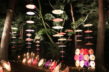 月あかり花回廊は8日まで 鬼怒川温泉あさやホテル 公式 月あかり花回廊は8日まで 鬼怒川温泉あさやホテル 公式