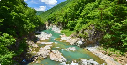 写真：観光情報