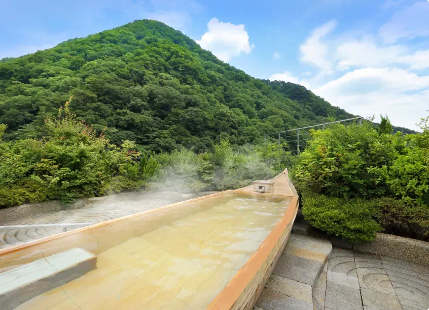 写真：客室