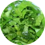 ほうれん草