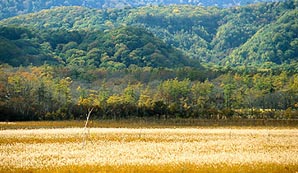 戦場ヶ原