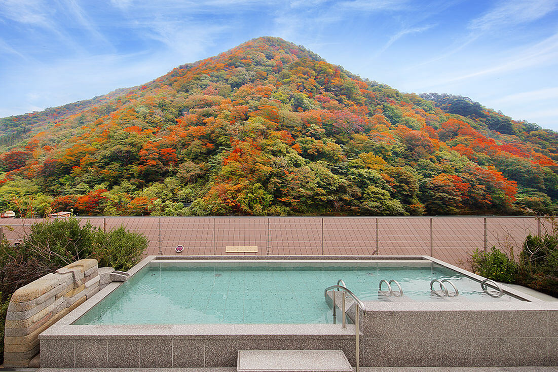 鬼怒川 温泉 あさや ブログ